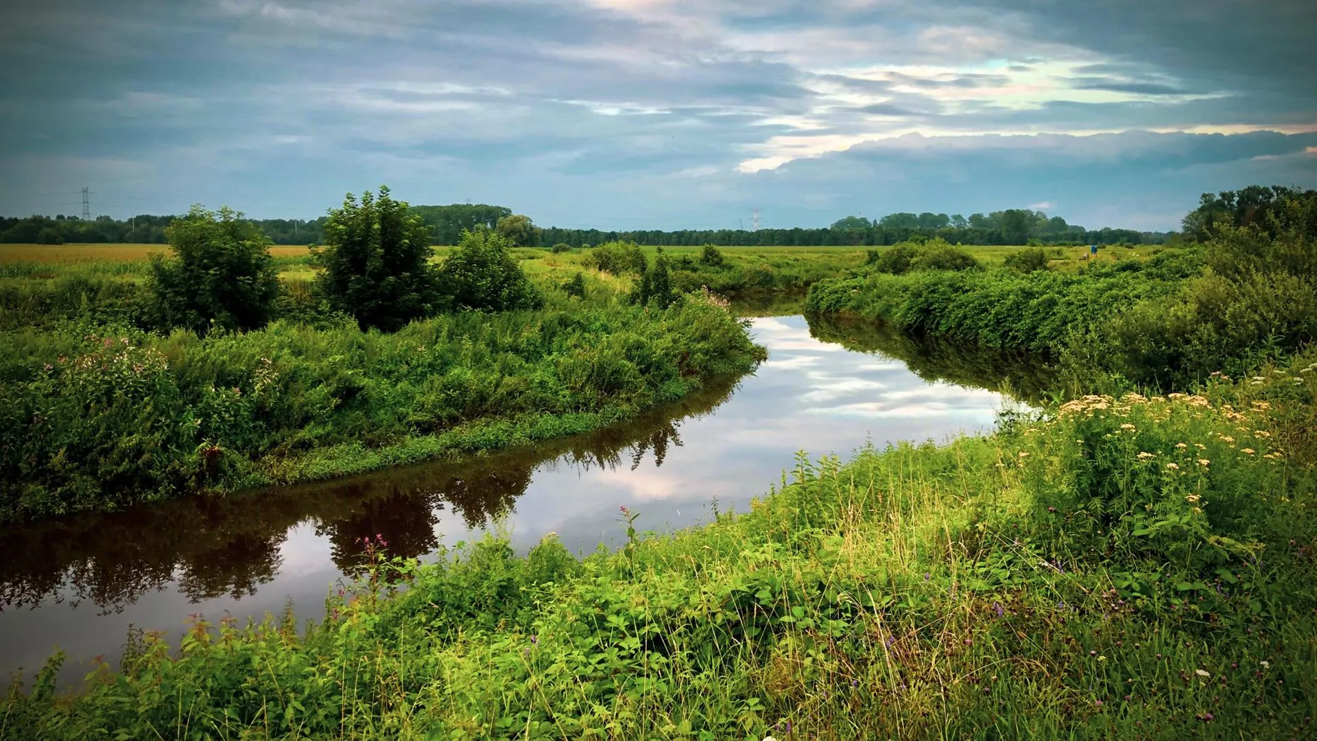 Nathalie Verelst & Carla Janssens